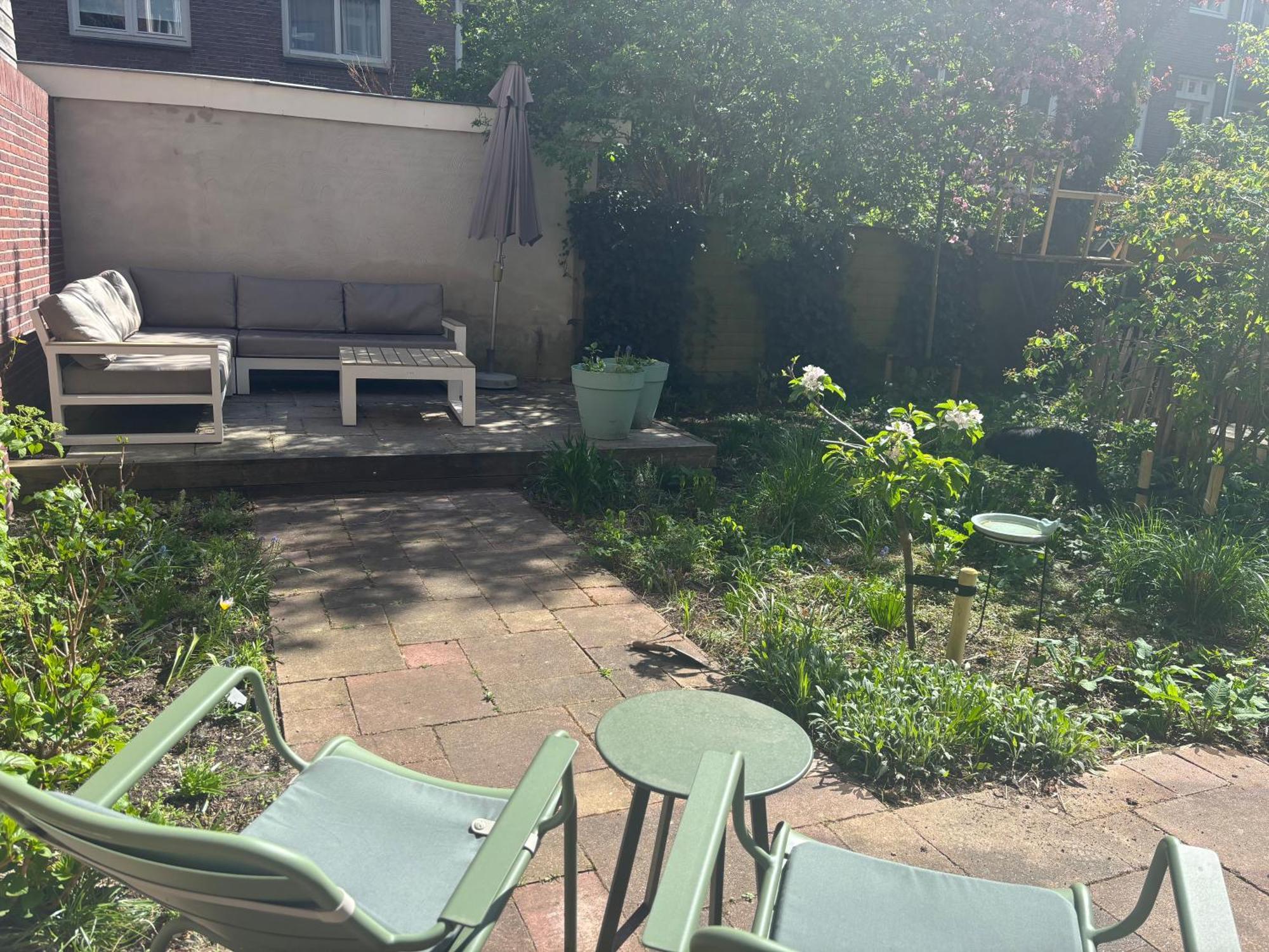 Appartement Spacious With Garden In Centre